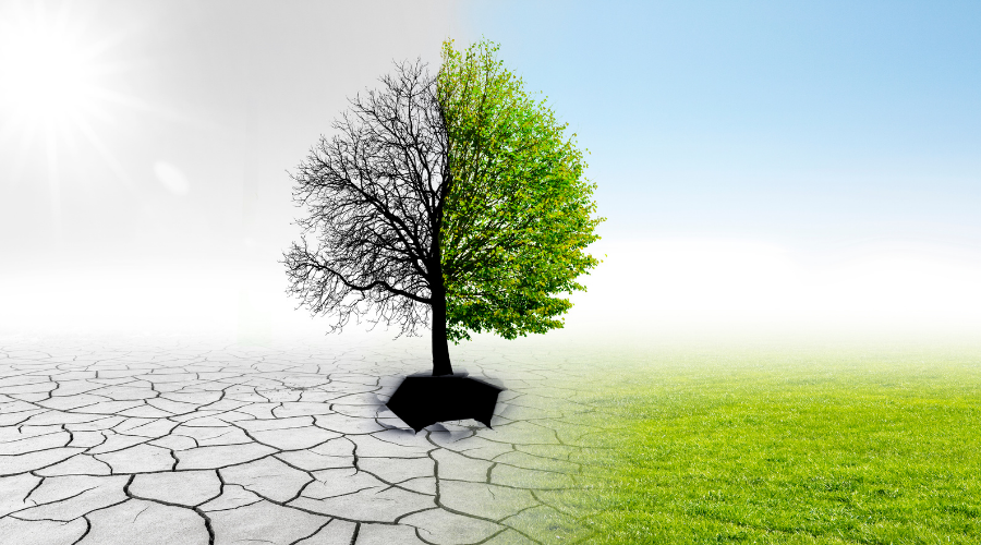 Climate Change